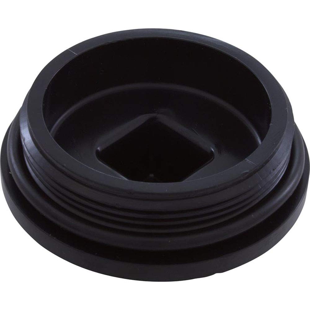 Horizon Spa & Pool Parts Plug 2 W/Gasket 13001102 43309202R