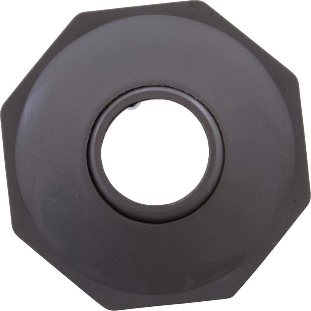 Waterway Plastics 806105198082 Gray Econo 1" Insert