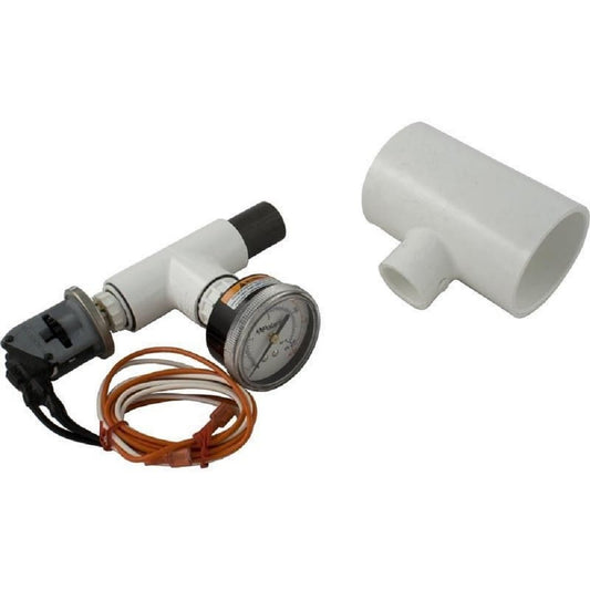 Zodiac Jandy 37353 2-Valve Press Switch Assembly