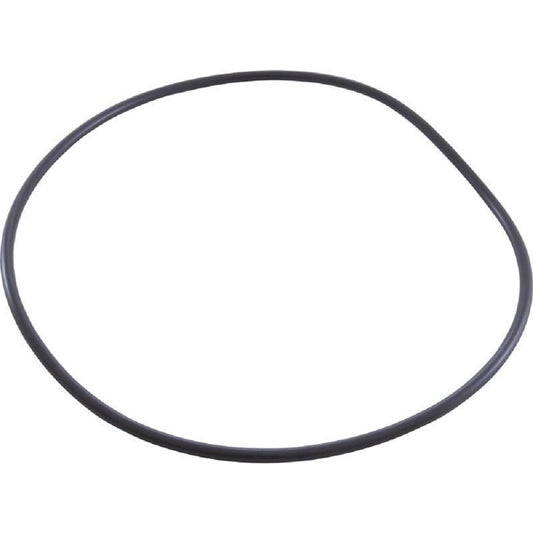 Waterco 62021 O-Ring, Lid