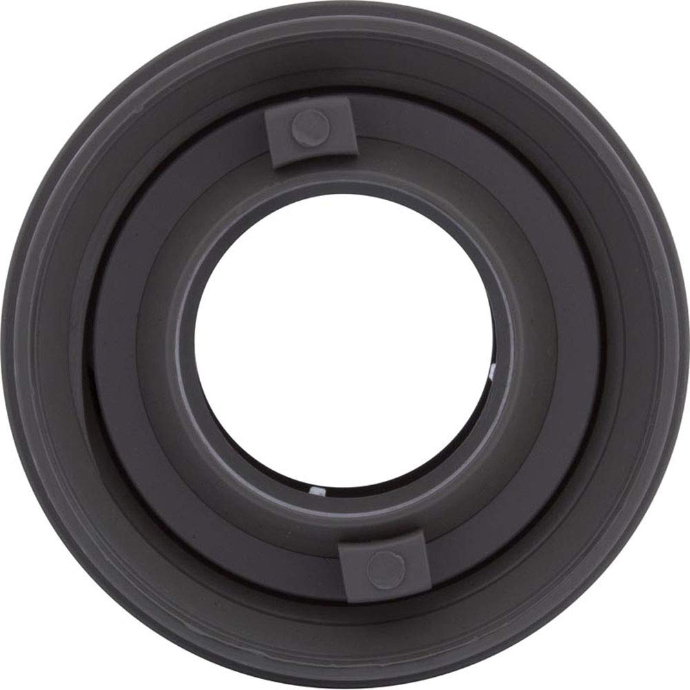 Waterway Plastics 806105078032 1-1/2" Insert Gray Flush Mount