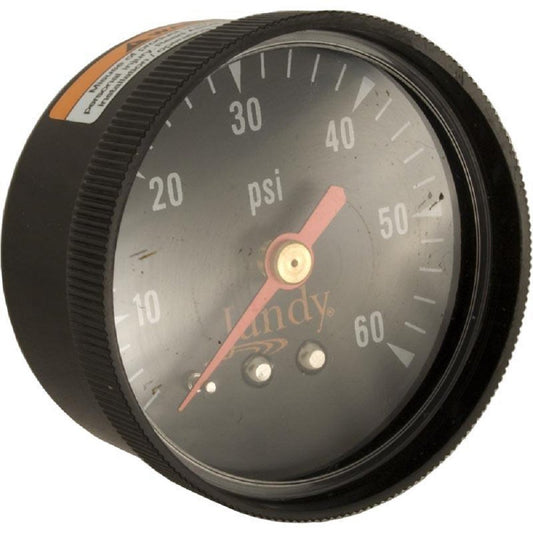 Zodiac Jandy R0359600 0.25" MPT 0-60 PSI Back Mount Pressure Gauge