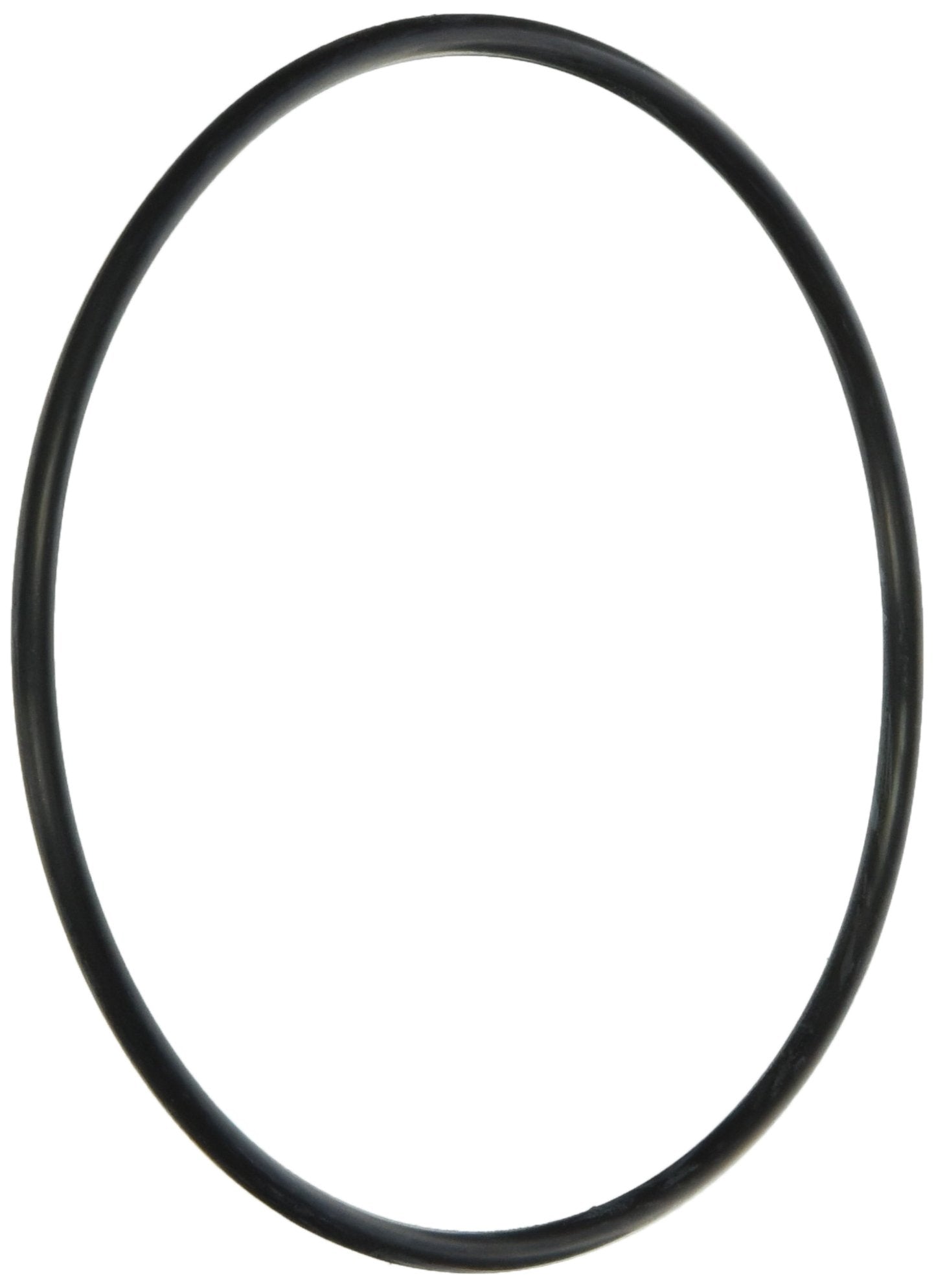 Jandy Genuine Parts Energy Filter O Ring Kit Replacement Kit, R0374500