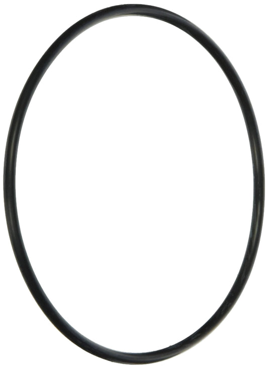 Jandy Genuine Parts Energy Filter O Ring Kit Replacement Kit, R0374500