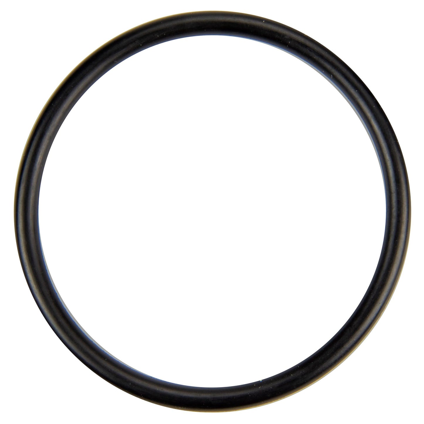 Pentair U9-226 O-Ring Diffuser Replacement for select Sta-Rite Pool and Spa Filters