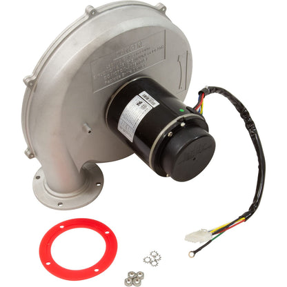 Jandy Pro Series Blower Assembly
