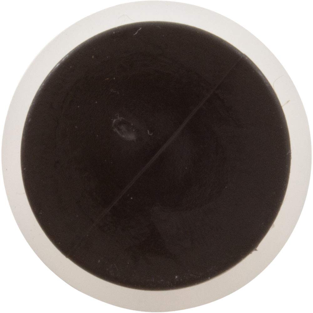 Foot Valve, Blue-White, Viton/Aflas O-Ring,for 3/8" od tubing