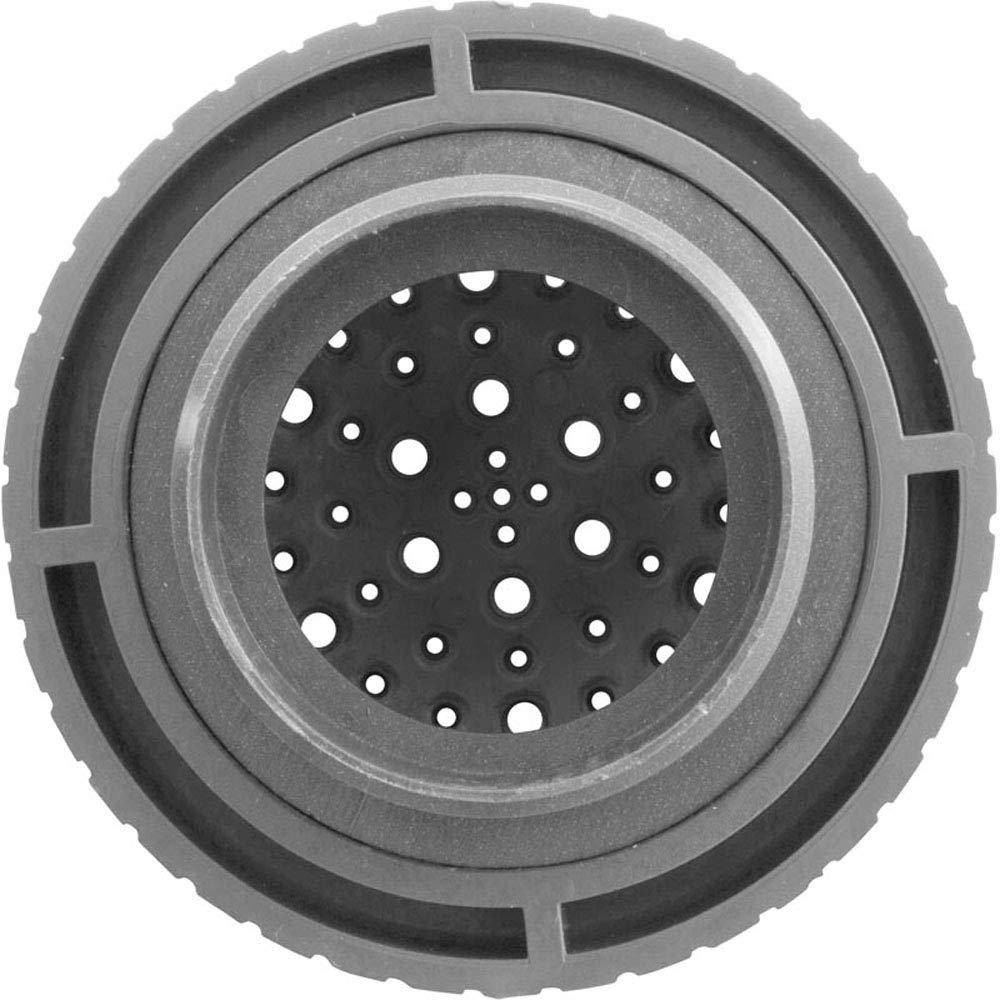 CMP Rain Spa Jet Internal 1-1/2" Gray 23315-301-000