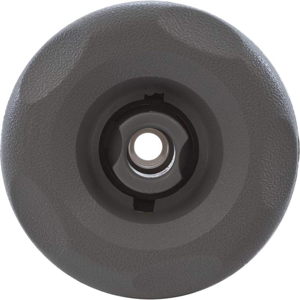 Waterway Plastics Jet Intl, WW Mini Storm, 3" fd, Dir, Textured Scal, Gry, THD