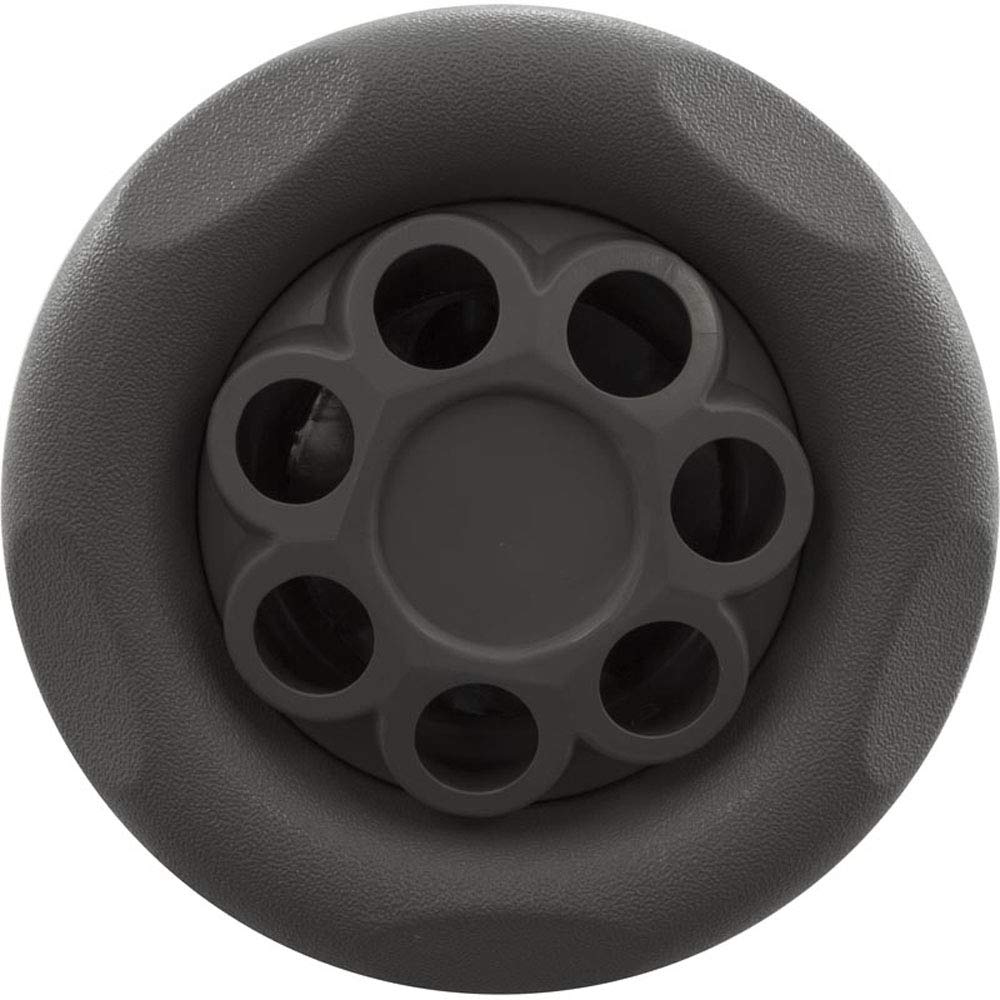 Waterway Plastics 229-7747 Jet Intl, WW Power Storm, 5" fd, Massage, Txt Scal, Gry, THD