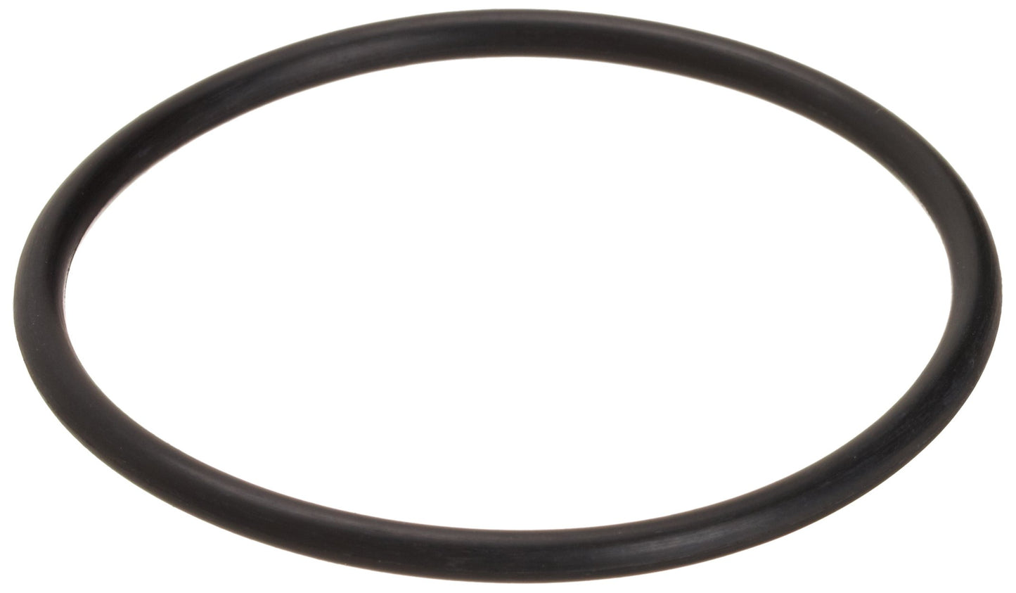 Zodiac 84-776 O-Ring Replacement