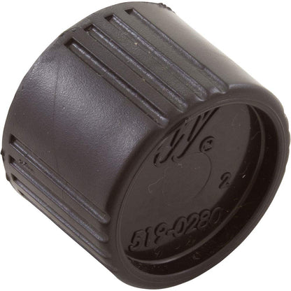 550-0260 Waterway Plastics Drain Cap Assembly, Waterway Pro Clean Plus