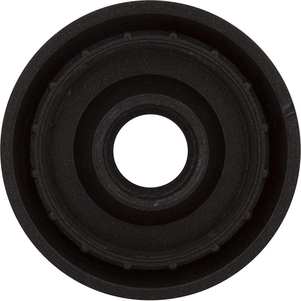 Waterway Plastics 1" Top Access Valve, Matte Cap for S" Style -Dsg