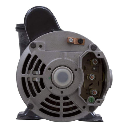 Gecko Alliance 06115000-1040 Flo-Master 1.5 HP 2 Speed 115V Xp2 Spa Pump