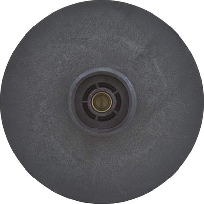 Waterway 310-2440 3-Hp/50Hz Select 60Hz Use Impeller