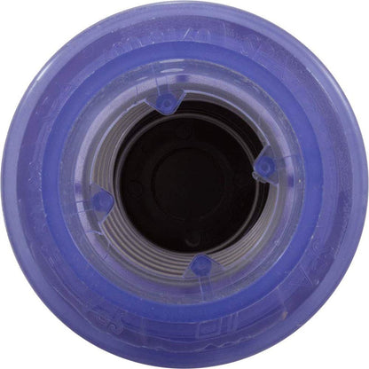 Waterway Air Check Valve 2in. SPG x 2in. SPG 600-8160