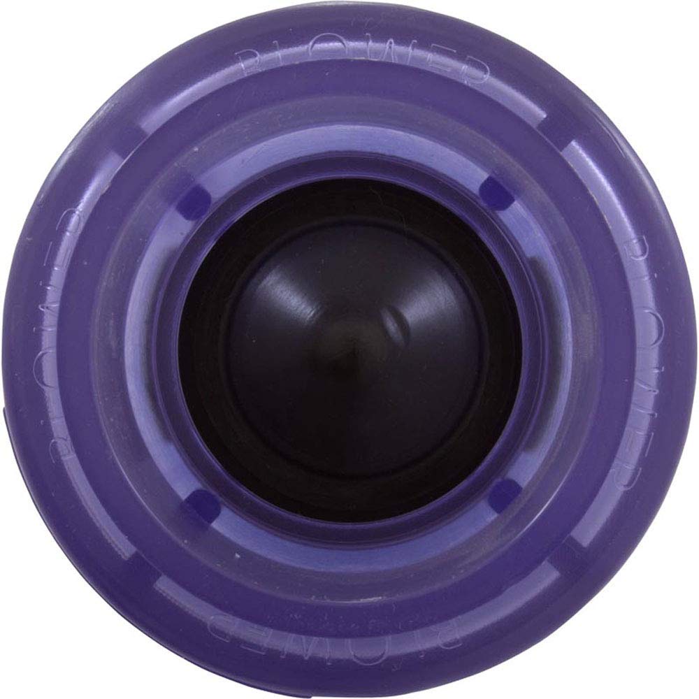 Waterway Air Check Valve 2in. SPG x 2in. SPG 600-8160