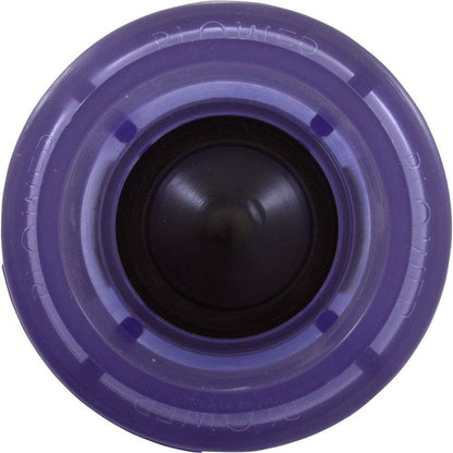 Waterway Air Check Valve 2in. SPG x 2in. SPG 600-8160