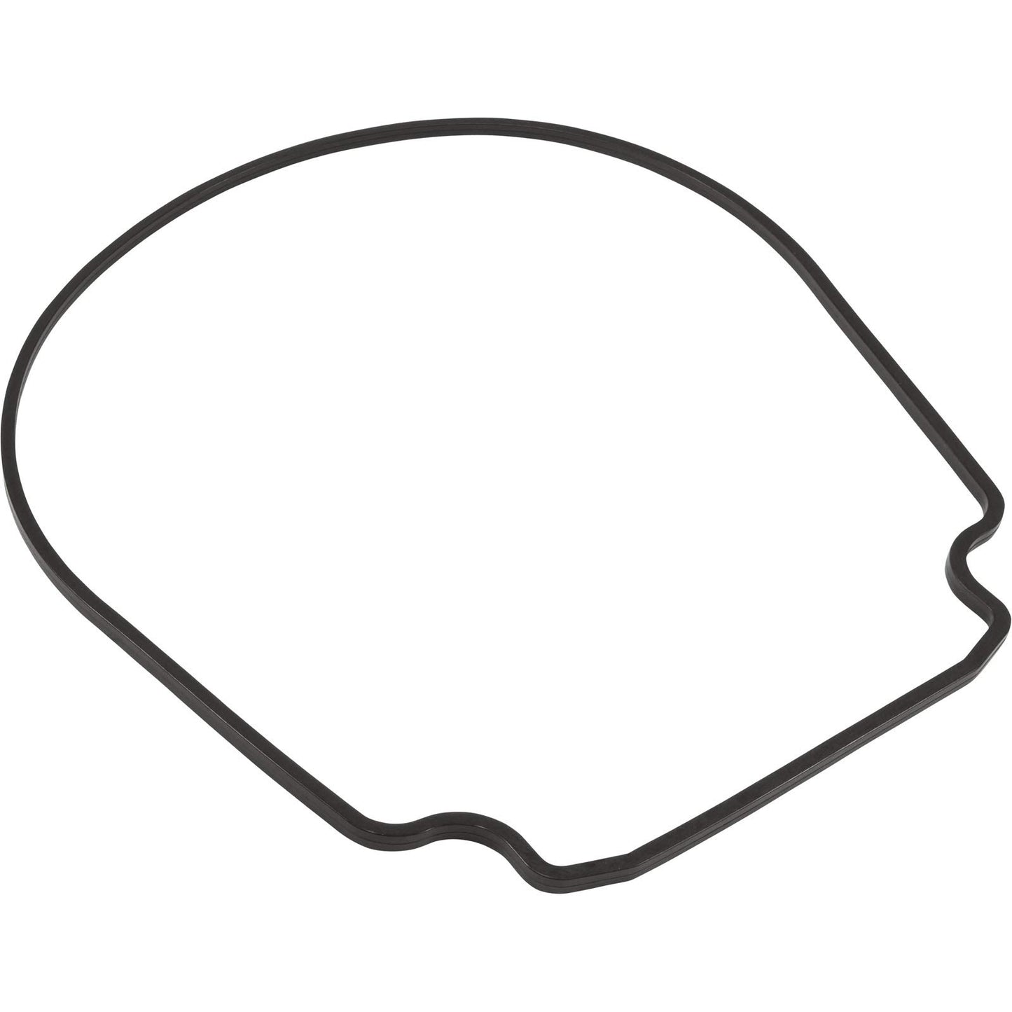 Waterco Gasket, HydroStar, Seal Plate