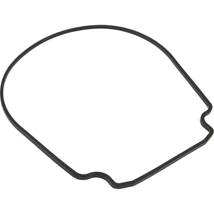 Waterco Gasket, HydroStar, Seal Plate