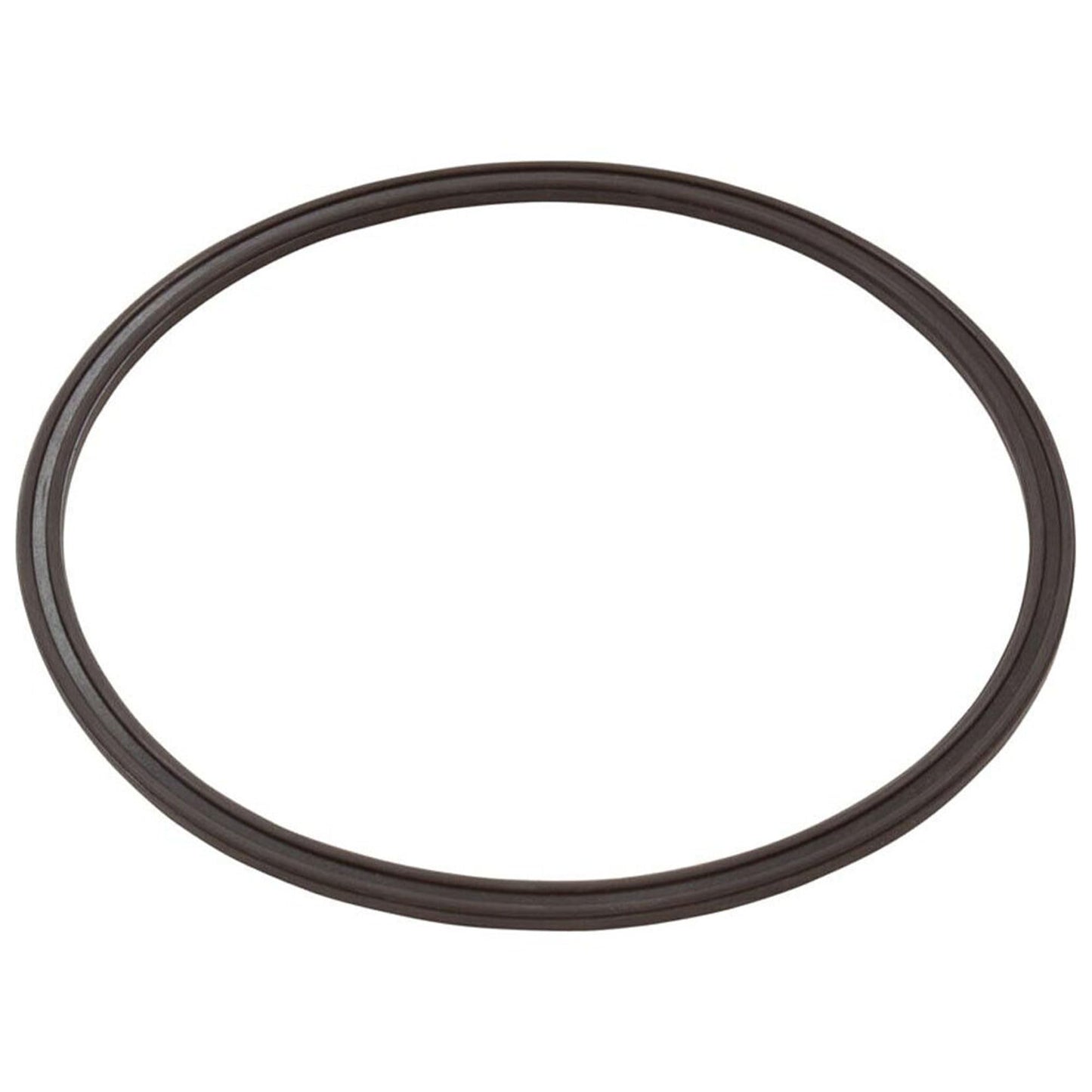 Zodiac Leaf Catcher Seal, Cyclonic Leaf Catcher