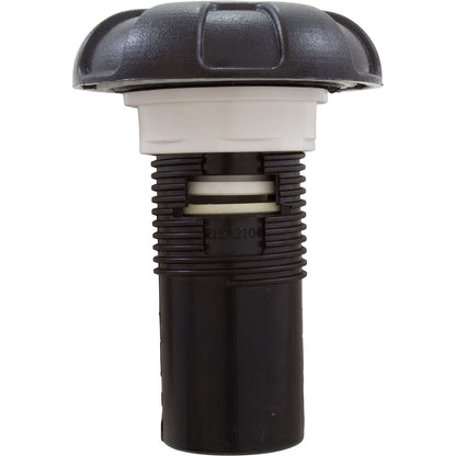 Waterway 1in. Top Access Air Control Valve 6 Spoke Design, Black 660-3511