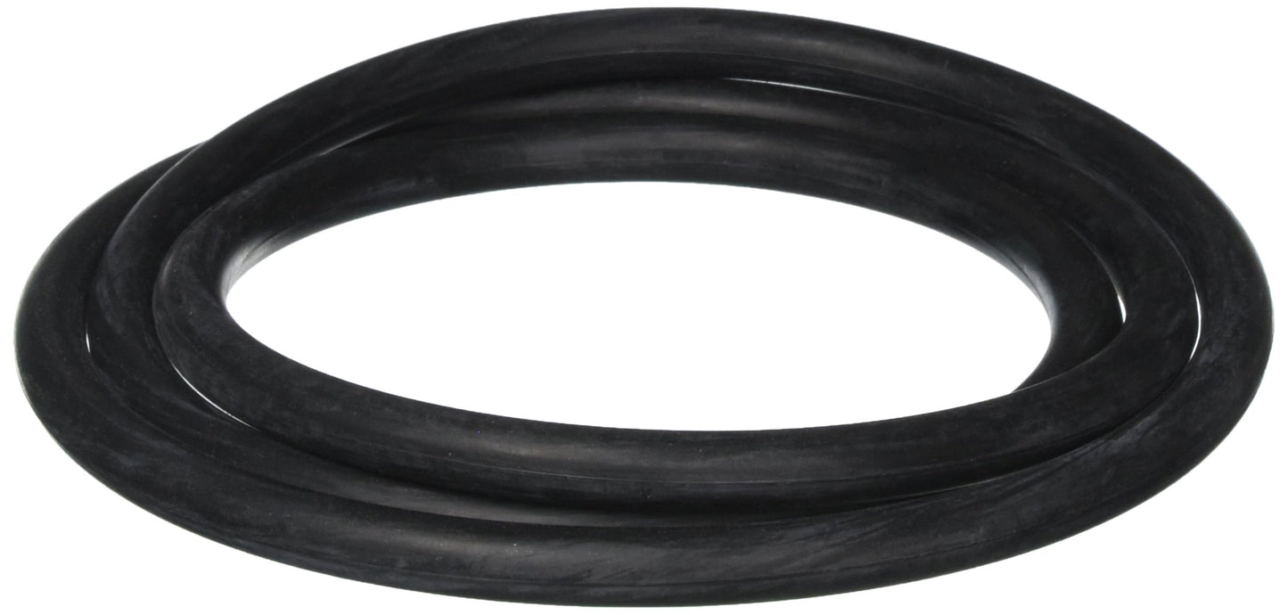 Waterway Plastics 806105194749 Main Body O-Ring
