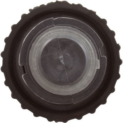 Waterway Plunger & Cap Assy 605-4370, 1" On/Off Valve