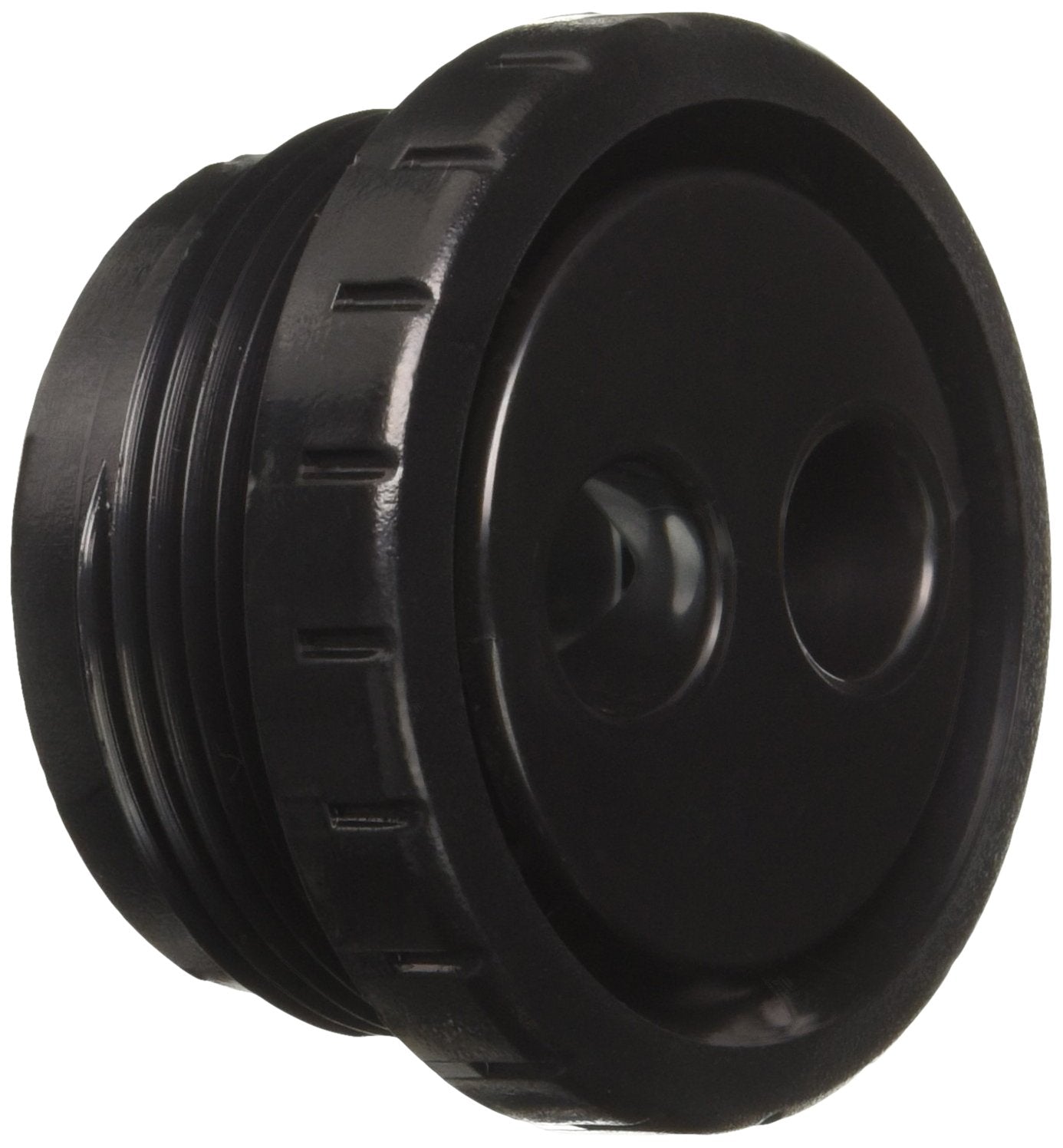 Waterway 212-9171 Spa Rotating Eyeball, Black