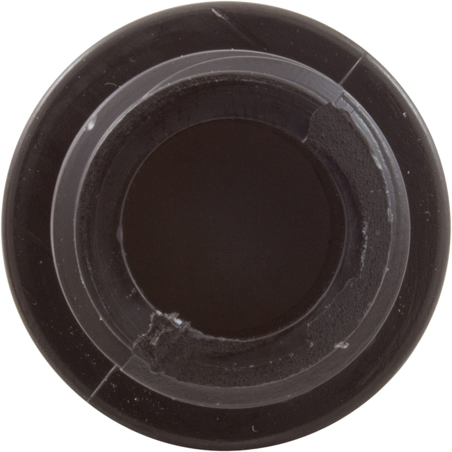 Pentair R172248 Check Valve Replacement Rainbow 320 Automatic Chlorine/Bromine In-Line Pool and Spa Feeder