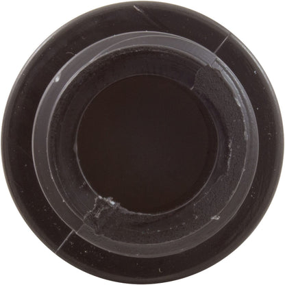 Pentair R172248 Check Valve Replacement Rainbow 320 Automatic Chlorine/Bromine In-Line Pool and Spa Feeder